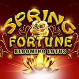 Spring Fortune